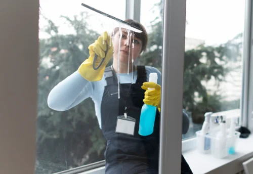 Nettoyage de vitres intérieures et extérieures à la Chapelle-Thémer